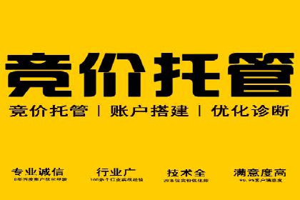 SEM推广代运营公司：助力企业提升广告效果